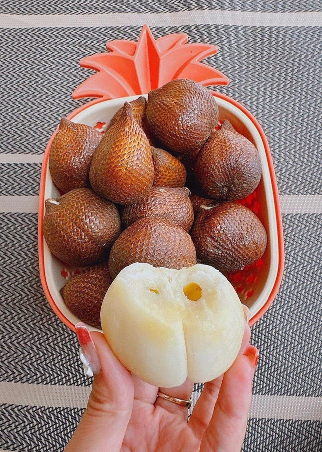 cây mây indo vị mật ong (Salak Pondoh) cây mây indo vị mật ong (Salak Pondoh)