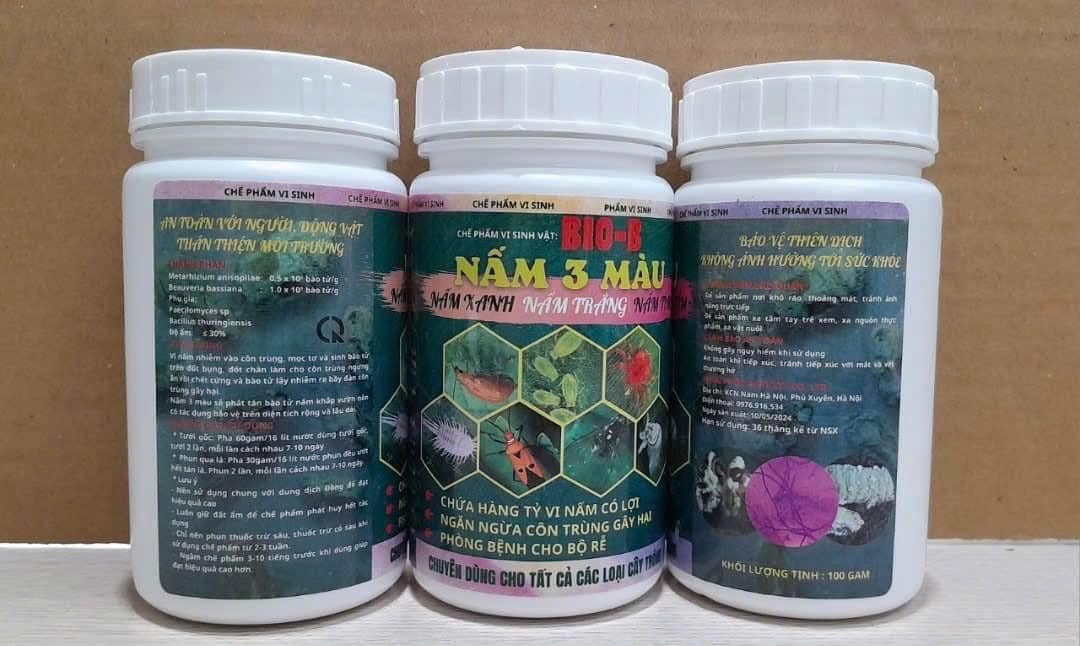 Phân bón vi sinh Bio-B Nấm 3 màu - nấm xanh, nấm trắng, nấm tím, ngăn ngừa côn trùng lọ 100gr Phân bón vi sinh Bio-B Nấm 3 màu - nấm xanh, nấm trắng, nấm tím, ngăn ngừa côn trùng lọ 100gr