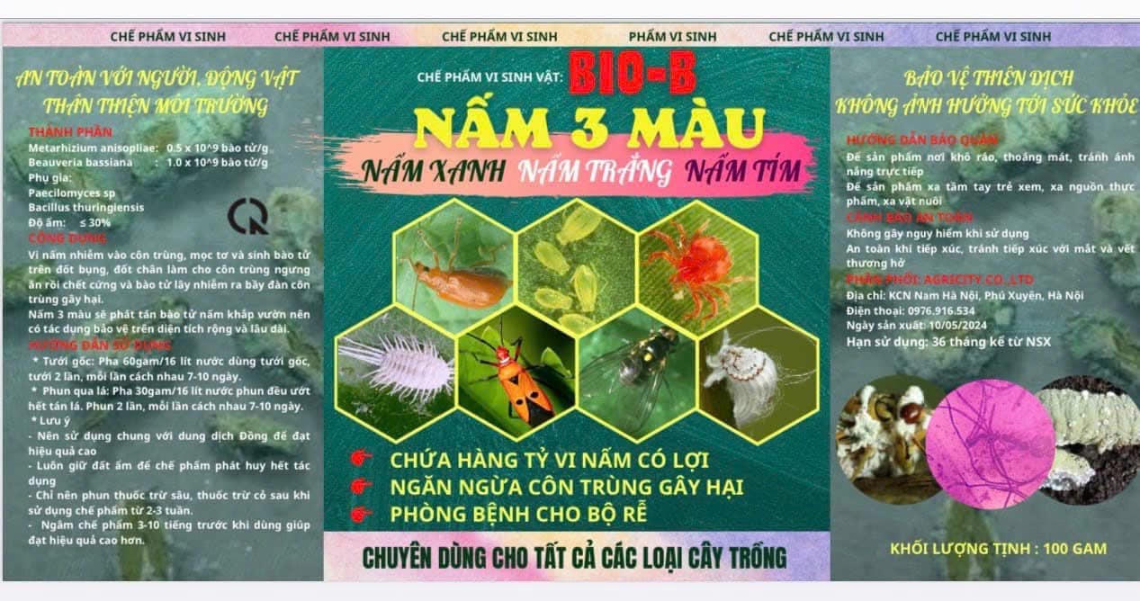 Phân bón vi sinh Bio-B Nấm 3 màu - nấm xanh, nấm trắng, nấm tím, ngăn ngừa côn trùng lọ 100gr Phân bón vi sinh Bio-B Nấm 3 màu - nấm xanh, nấm trắng, nấm tím, ngăn ngừa côn trùng lọ 100gr