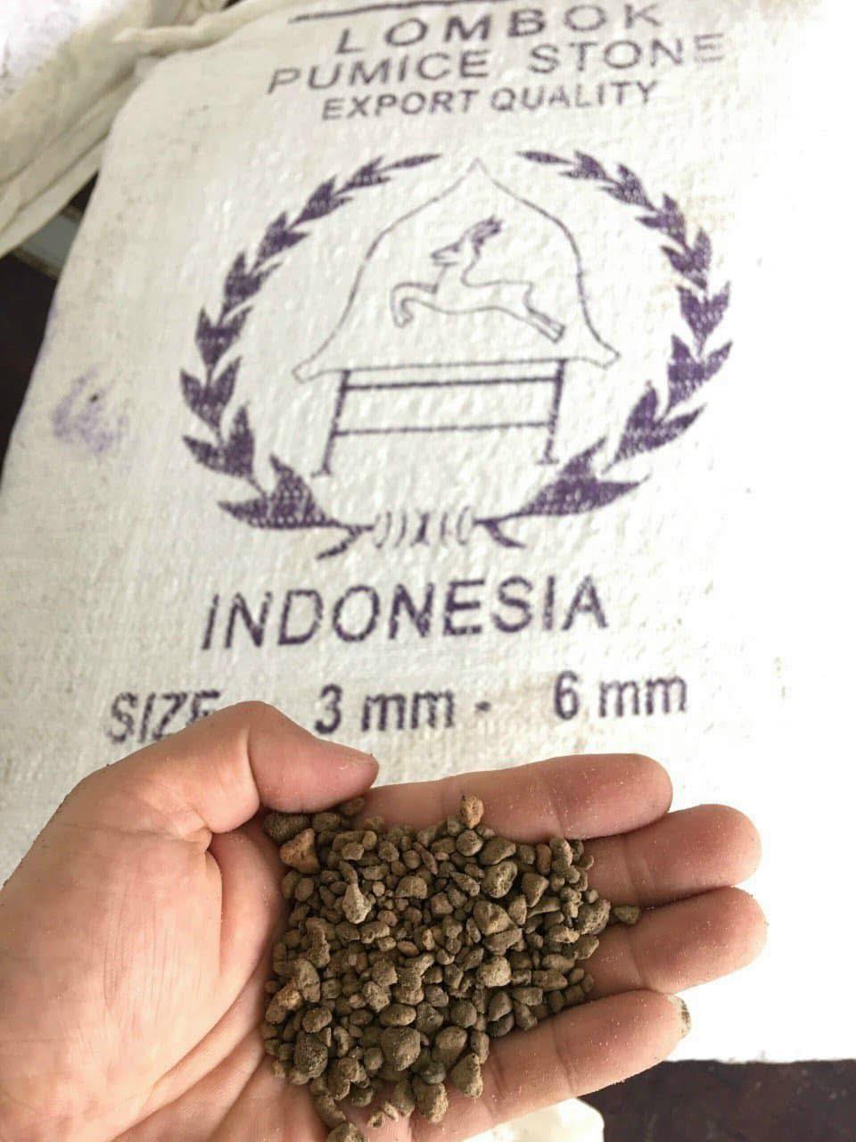 Đá Pumice Indonesia -Đá bọt núi lửa - ( túi 1kg) Đá Pumice Indonesia -Đá bọt núi lửa - ( túi 1kg)