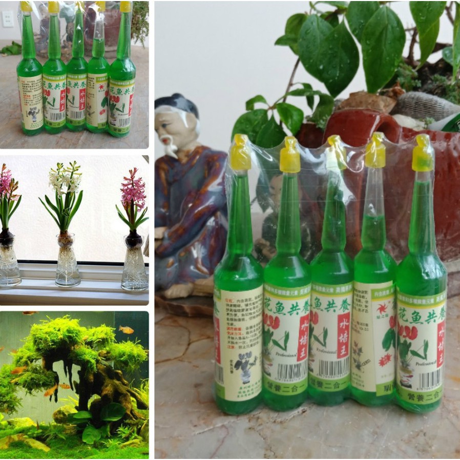 1 vỉ 5 lọ Phân bón dinh dưỡng, kích rễ cho cây, dung dịch thủy canh phân cho cây trồng nước, phân cho cây cảnh thuỷ sinh 1 vỉ 5 lọ Phân bón dinh dưỡng, kích rễ cho cây, dung dịch thủy canh phân cho cây trồng nước, phân cho cây cảnh thuỷ sinh