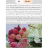 Cây nho quả đỏ Red King - nho đỏ đẹp quý phái