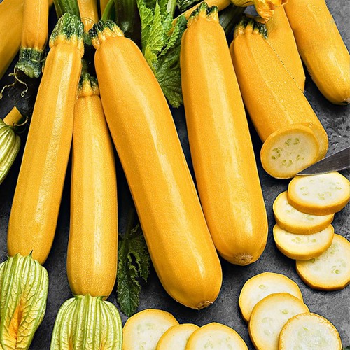 Hạt Giống Bí Ngòi Vàng - Siêu Nhanh Cao Sản Prolific (Cucurbita pepo) Hạt Giống Bí Ngòi Vàng - Siêu Nhanh Cao Sản Prolific (Cucurbita pepo)