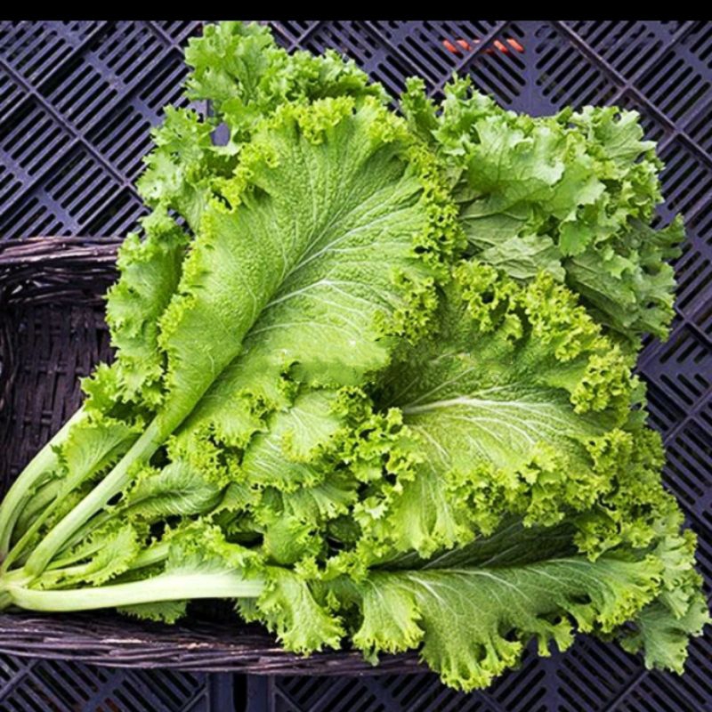 Hạt Giống Cải Cay - Xoắn Siêu Nhanh Giant (Brassica juncea) Hạt Giống Cải Cay - Xoắn Siêu Nhanh Giant (Brassica juncea)