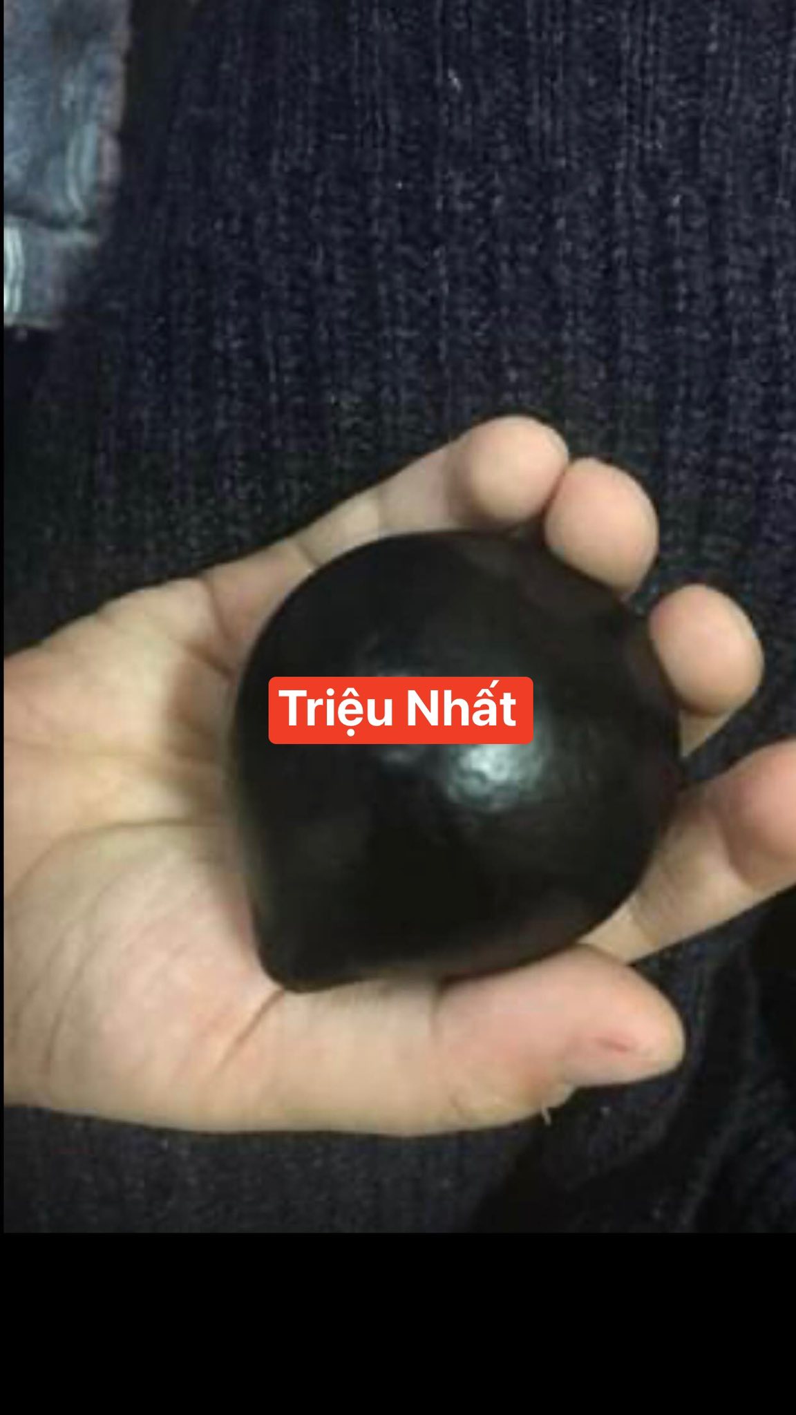 nho thân gỗ dòng FUCANG nhập khẩu - DÒNG QUẢ TO NHẤT HIỆN NAY nho thân gỗ dòng FUCANG nhập khẩu - DÒNG QUẢ TO NHẤT HIỆN NAY