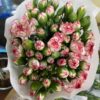 CÂY GIỐNG HOA PHĂNG KÉP DÒNG CAO CẮT CÀNH CẤY MÔ