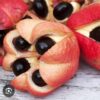 CÂY GIỐNG Ackee NHẬP KHẨU