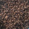 HẠT GIỐNG CÂY LÕI THỌ - 1KG