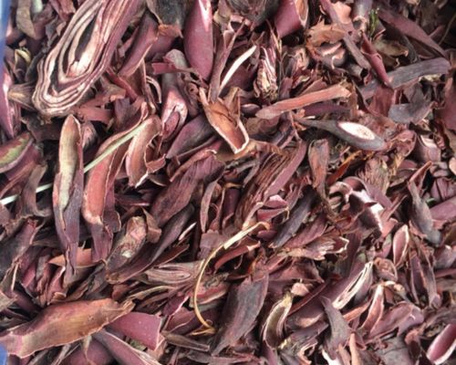 SÂM ĐẠI HÀNH KHÔ - 1kg SÂM ĐẠI HÀNH KHÔ - 1kg