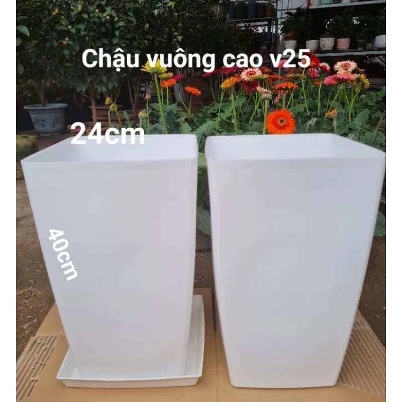 Chậu nhựa trồng cây kiểu vuông cao -cỡ lớn VD25 (40*24cm) Chậu nhựa trồng cây kiểu vuông cao -cỡ lớn VD25 (40*24cm)