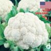 Hạt Giống Súp Trắng - Bông Cải Trắng - Tự Cuộn Lá SnowBall (Brassica oleracea)