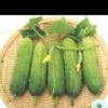 Hạt Giống Dưa Chuột - Trái Ngắn (Cucumis sativus) F1