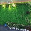 Cỏ nhân tạo trang trí văn phòng
