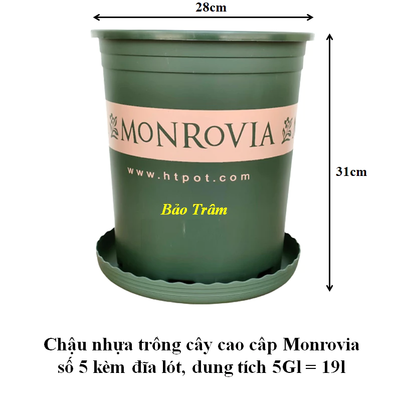 Chậu nhựa trồng cây cao cấp Monrovia cỡ số 5 kèm đĩa lót đáy hàng chuẩn Chậu nhựa trồng cây cao cấp Monrovia cỡ số 5 kèm đĩa lót đáy hàng chuẩn