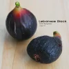chậu sung mỹ ” Lebanese Black/Purple “