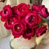 CÂY HOA HỒNG NGOẠI ” Peony Red ” – NHẬP KHẨU